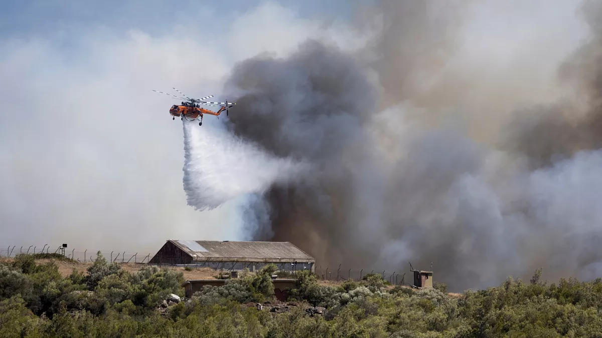 Wildfire