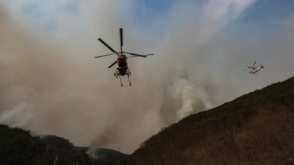 Wildfire 