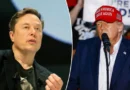 Elon Musk Exits Trump Administration
