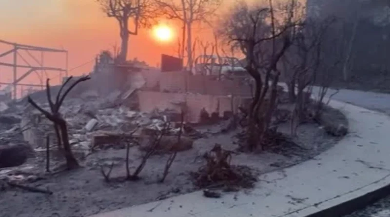 AI-models-may-forecast-the-worlds-next-wildfires