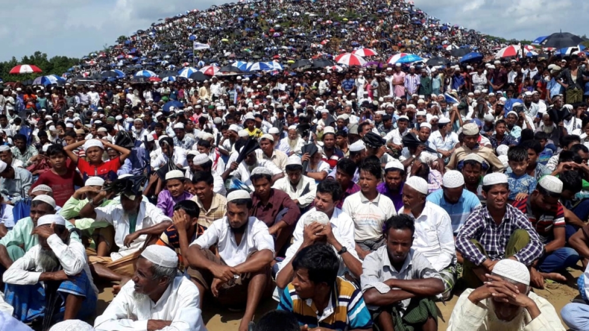 Rohingya